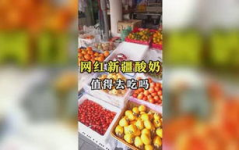 娱乐吃瓜小金,小金瓜的八卦风云