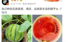 娱乐圈吃瓜的图片,吃瓜图鉴揭秘明星幕后故事