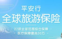 平安旅游保险购买在线,平安旅游保险在线购买指南