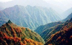 青川旅游攻略视频直播下载安装,视频直播下载安装，畅游自然与历史秘境