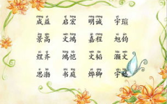 兰姓男宝宝名字大全蛇年,寓意吉祥，彰显个性