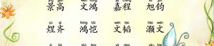 兰姓男宝宝名字大全蛇年,寓意吉祥，彰显个性