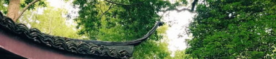 去云栖竹径有一日游吗,探寻杭州幽静山林，感受自然之美