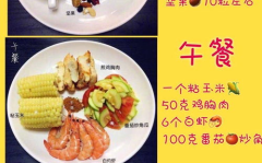 公认最快21天减肥食谱,公认最快减肥食谱全解析