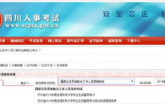 四川省人事考试网官网登录入口,四川省人事考试网官方登录通道速览